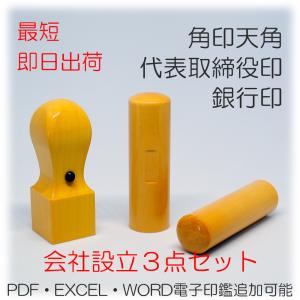 即日出荷 法人設立ケース付き3点セット角印　銀行印　代表取締役印　柘 ( つげ ) 印鑑 はんこ 法人 会社設立 実印 銀行印 角印｜kyukyu