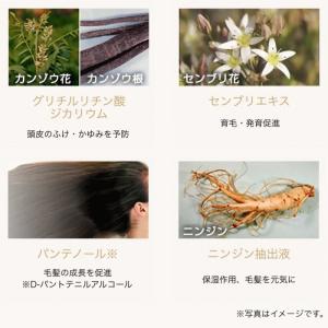 キューサイ 髪育習慣 薬用育毛剤 120mlの詳細画像1
