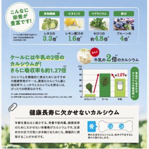 青汁 キューサイ ザ・ケール ミニスティック ...の詳細画像4