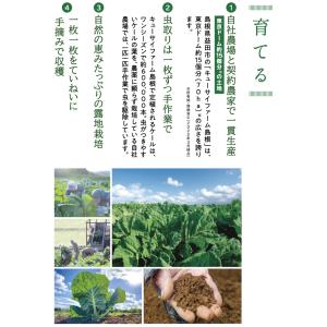 キューサイ 青汁 冷凍 90g×7パック入 4...の詳細画像4