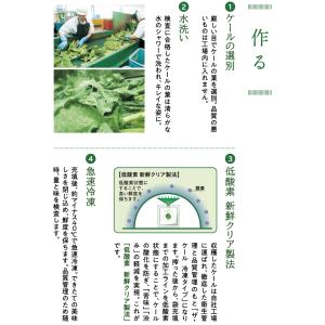 キューサイ 青汁 冷凍 90g×7パック入 4...の詳細画像5