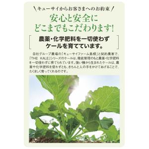キューサイ 青汁 冷凍 90g×7パック入 8...の詳細画像2