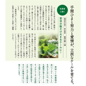 キューサイ 青汁 ケール 粉末 7g×30本入...の詳細画像2