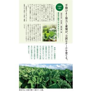 キューサイ 青汁 ケール 粉末 420g 6袋...の詳細画像3