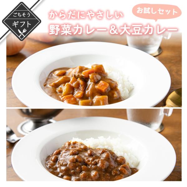 夏野菜カレー