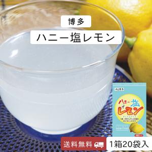 レモン パウダー 塩レモン 粉末ジュース 国産 送料無料 1箱20袋入り｜kyushu-gochisoubin