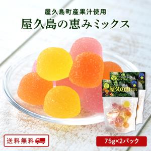 ソフトグミ 屋久の恵ミックス 75g × 2袋 ...の商品画像