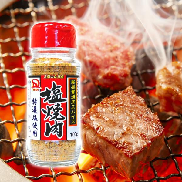 塩焼肉 100g×40本セット　 産地直送