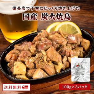 【期間限定2セット購入で1パックプレゼント！】ありがとうショップ九州のごちそう便 国産 炭火焼鳥 100g 3パック 常温保存 親鶏 送料無料 炭火焼 おつまみ