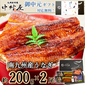 御中元 うなぎ 蒲焼き 化粧箱入 国産 人気 約...の商品画像