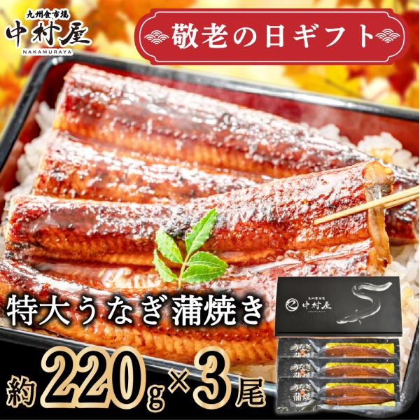 父の日　うなぎ　蒲焼き　ギフト　超特大　330g前後×4尾　化粧箱　鰻　ウナギ　うなぎ蒲焼　蒲焼　贈...