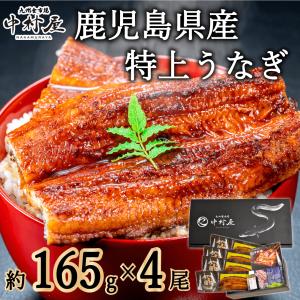 父の日　丑の日　うなぎ　蒲焼き　国産　ギフト　鹿児島県産　160g×4尾　化粧箱　鰻　ウナギ　うなぎ蒲焼　蒲焼　贈り物　母の日　遅れてごめんね｜kyushu-nakamuraya