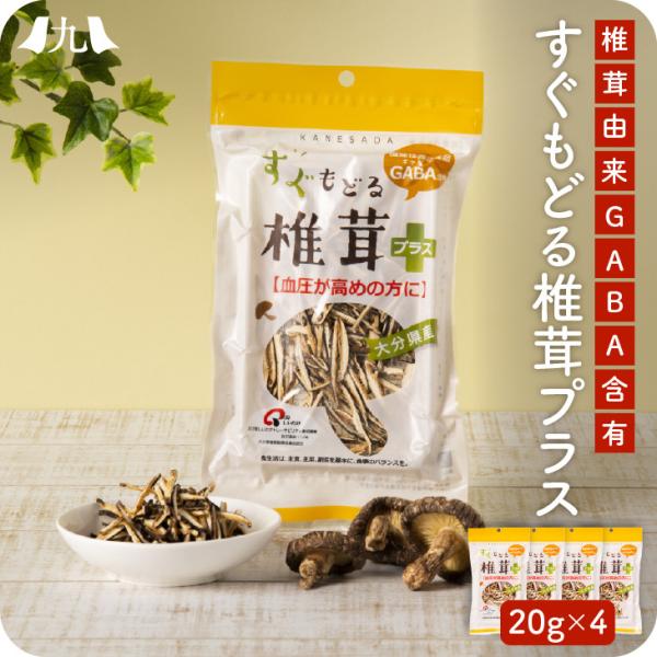 「大分県産すぐもどる椎茸プラス４個セット」お試し 健康 GABA 機能性表示食品 高血圧対策 干し椎...