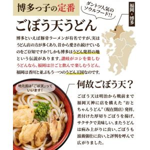 お試しセット 博多ごぼう天うどん 2人前 12...の詳細画像1
