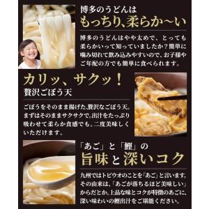 お試しセット 博多ごぼう天うどん 2人前 12...の詳細画像2