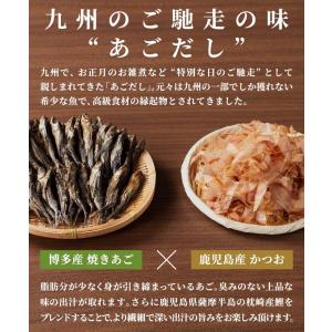 お試しセット 博多ごぼう天うどん 2人前 12...の詳細画像3