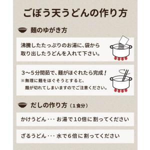 お試しセット 博多ごぼう天うどん 2人前 12...の詳細画像4