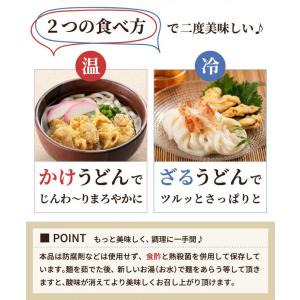 お試しセット 博多ごぼう天うどん 2人前 12...の詳細画像5