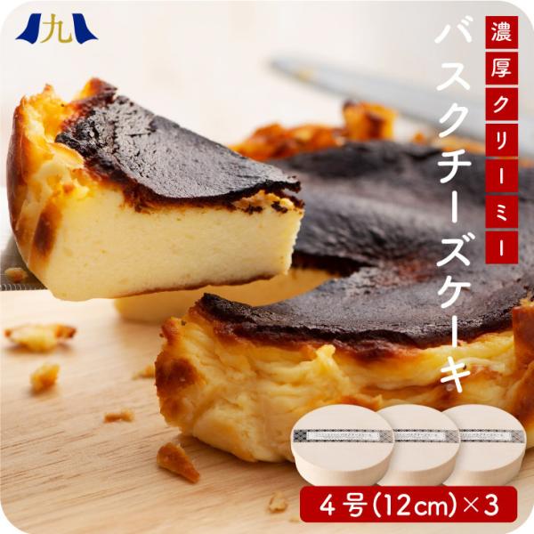産地直送 【スペイン生まれのバスクチーズケーキ 3個セット】 4号（約12cm） 九州 お取り寄せ ...