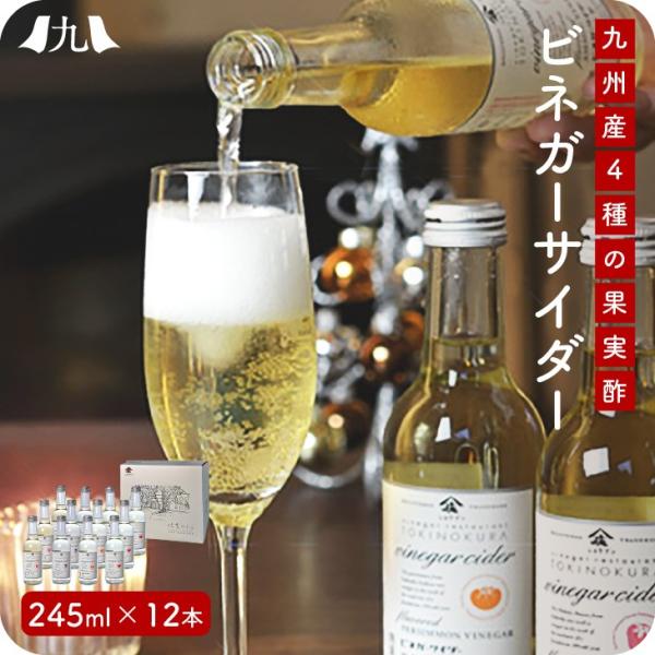 ビネガーサイダー12本入り  お歳暮　帰省暮