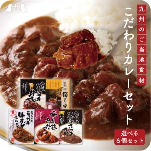 産地直送【こだわりカレー選べる6個ギフトセット】九州お取り寄せ　お歳暮　贈答　ギフト　お土産　ビーフ　チキン　ポーク　タケノコ　ご当地カレー　送料無料｜kyushu-sanchoku