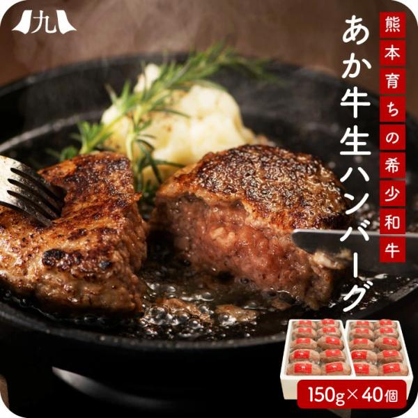【熊本 あか牛 生ハンバーグ 150g×40個】国産 赤身肉 手ごね ヘルシー 冷凍 黒毛和牛 簡単...