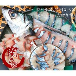関サバ 姿刺身盛り 大1尾 代引き不可 鮮魚 水産品の高級ブランド 関さば 冷凍発送