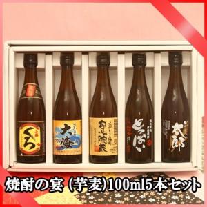 二階堂 むぎ焼酎 20° 720ml×2 吉四六(壺)25°720ml グラスセット ギフト