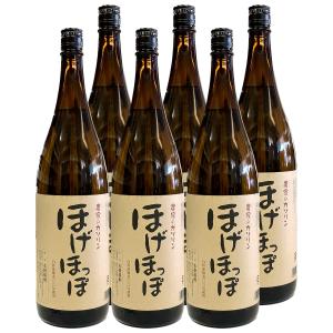 大分麦焼酎 老松酒造 むぎっちょ親父 紙パック 1800ml 25度【12個まで1