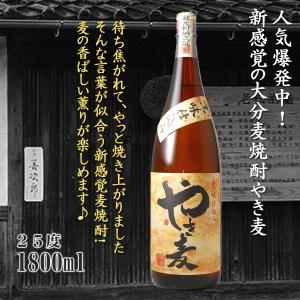 いいちこ 25° 1800ml (紙パック6本セット) 三和酒類の人気焼酎 : 九州