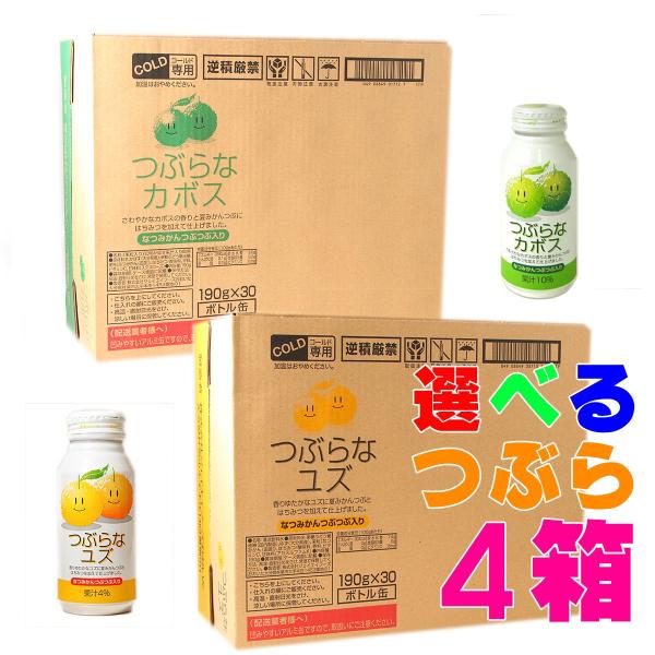 つぶらなカボスとつぶらなユズ 選べる4箱セット 送料無料 JAフーズおおいた 大分ジュース