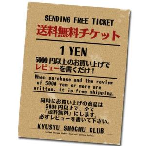 チケット【5000円以上ご購入でレビューを書いたら送料0】