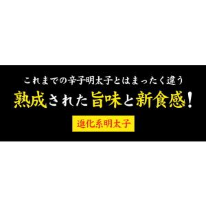 ドライ明太子 1本20g 明太子 おつまみ 乾...の詳細画像2