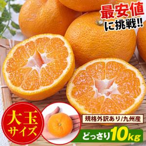 最安値に挑戦 みかん 10kg 訳あり 送料無料 2セットで555円OFF 大粒 大玉 訳ありみかん フルーツ 柑橘 温州 九州産 2月上旬-2月末頃より発送予定｜kyushufood