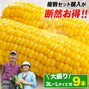 [ もうすぐ販売終了★500円OFF ] とうもろこし スイートコーン すごあまこーん 約2.7kg~3.6kg 9本入り 送料無料  7月中旬-8月上旬頃より発送予定