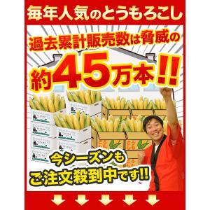【複数購入でおまけ×クーポン値引き】 とうもろ...の詳細画像1