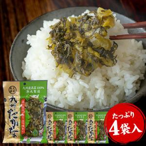 1000円 ポッキリ ポイント消化 送料無料  高菜漬け 高菜 高菜漬 九州産高菜 使用 九州たかな 600g入(150g×4袋) 乳酸発酵 7-14営業以内に発送予定(土日祝除く)