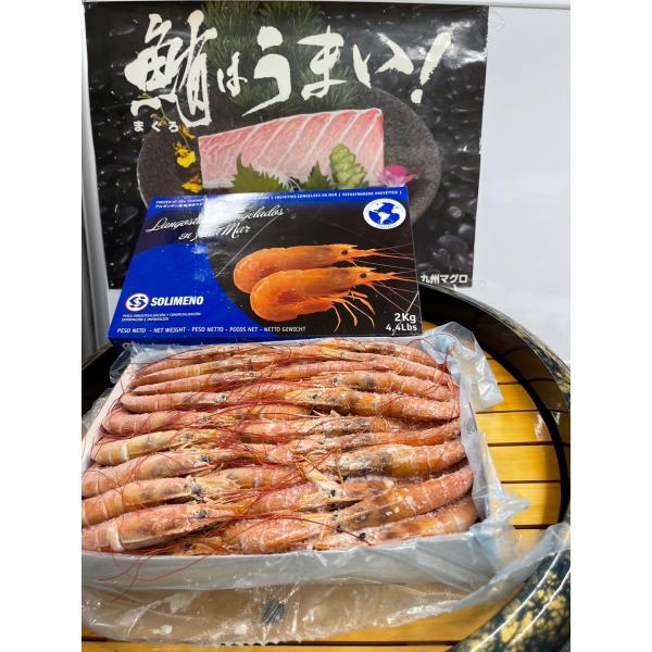 アルゼンチン赤海老 L2 2kg×2箱