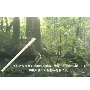 割り箸 100膳 個包装 九州紙工 紙完封箸 ...の詳細画像5