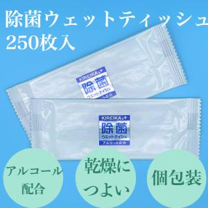 九州紙工 KIREIKA アルコール入り除菌ウエットティッシュ 除菌シート 250枚入  個包装 携帯用 おでかけ 災害 備蓄　パッチテスト済み OS-106｜kyushushiko