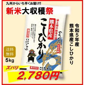 米　お米　５ｋｇ　くまモン　熊本県産　こしひかり　令和５年産　送料無料　