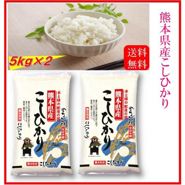 米　お米　１０ｋｇ　（５ｋｇ×２）　くまモン　熊本県産　こしひかり　令和７年産　送料無料　