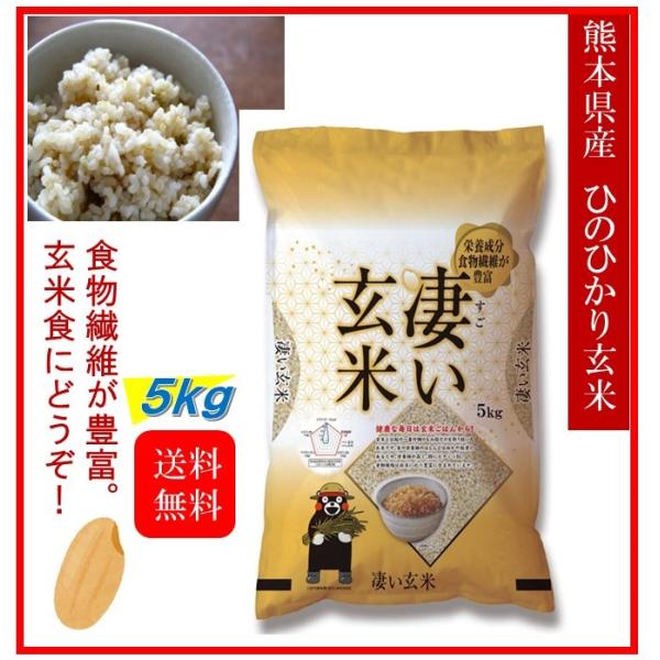 米　お米　５ｋｇ　熊本県産　凄い玄米　ひのひかり　令和５年産　送料無料　