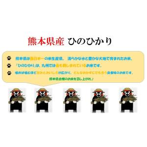 米 お米 5kg 熊本県産 凄い玄米 ひのひか...の詳細画像1