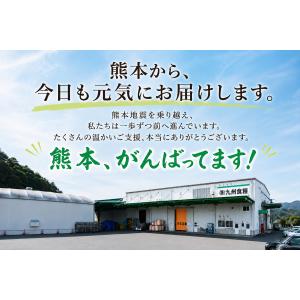 米 お米 5kg 熊本県産 凄い玄米 ひのひか...の詳細画像5