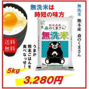 米　お米　５ｋｇ　くまモン　無洗米　熊本県産　森のくまさん　令和５年産　送料無料　