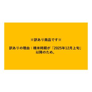 米 お米 10kg (5kg×2) 無洗米 い...の詳細画像1