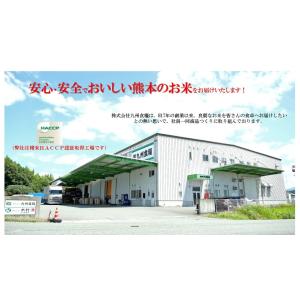 米 お米 10kg (5kg×2) 無洗米 い...の詳細画像2