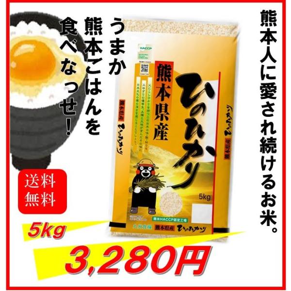 米　お米　５ｋｇ　くまモン　熊本県産　ひのひかり　令和５年産　送料無料　