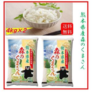 米 お米 10kg（5kg×2） 福岡県産 夢つくし ゆめつくし 令和7